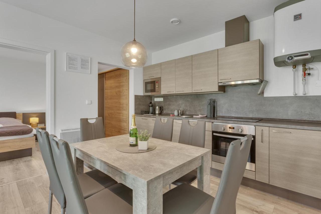 Family Apartments Klinovec Loučná pod Klínovcem Dış mekan fotoğraf